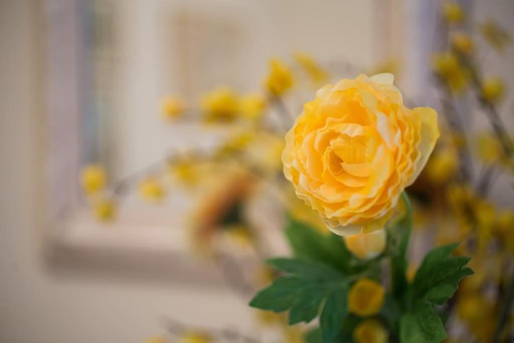 Top-Rated 1-Bedroom Apartment In The Heart Of Athens Luaran gambar